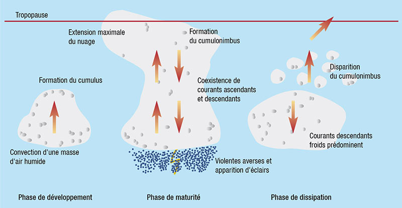 schema orage